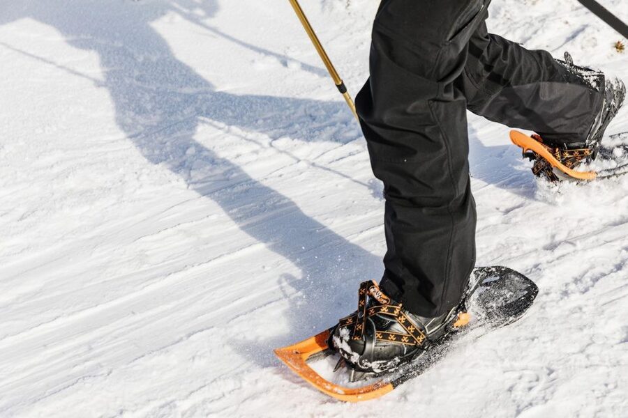 From Oslo: Oslomarka Forest Guided Snowshoeing Tour - Wildlife, stories, and the value of a local guide