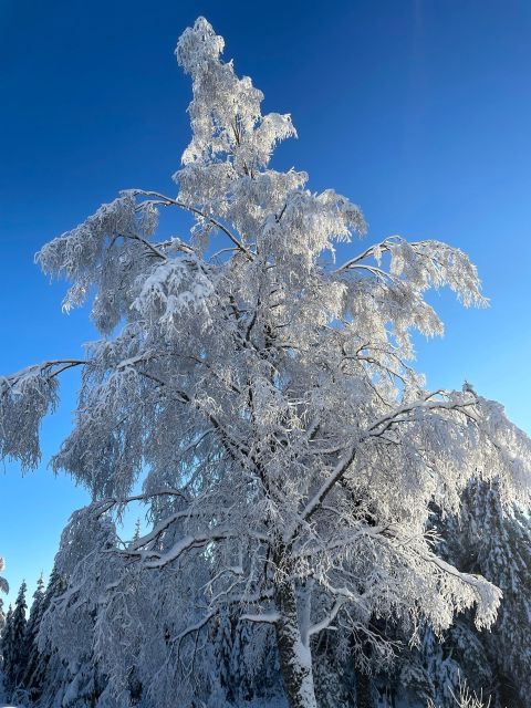 From Oslo: Oslomarka Forest Guided Snowshoeing Tour - The return trip and total timing