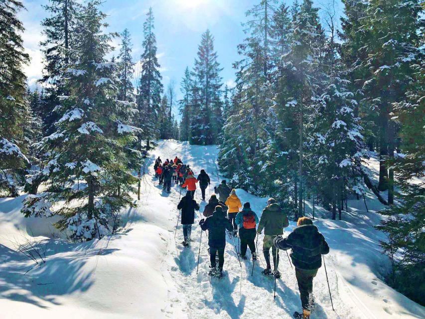 From Oslo: Oslomarka Forest Guided Snowshoeing Tour - Is $105 a fair price?