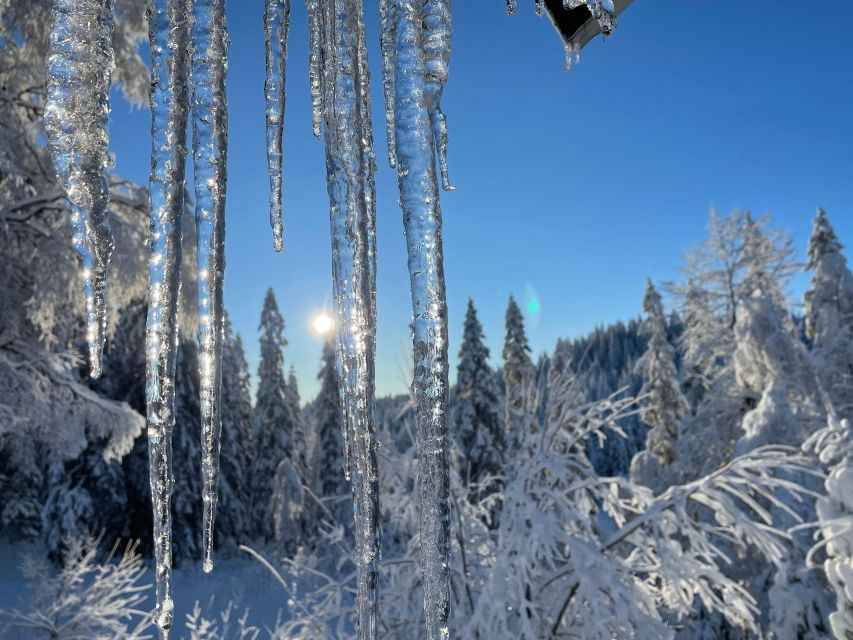 From Oslo: Oslomarka Forest Guided Snowshoeing Tour - Should you book the Oslomarka snowshoe tour?