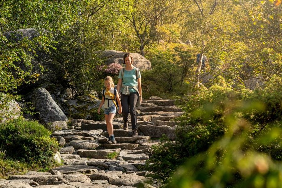 From Stavanger: Pulpit Rock Guided Hike with Pickup - The descent and return to Stavanger