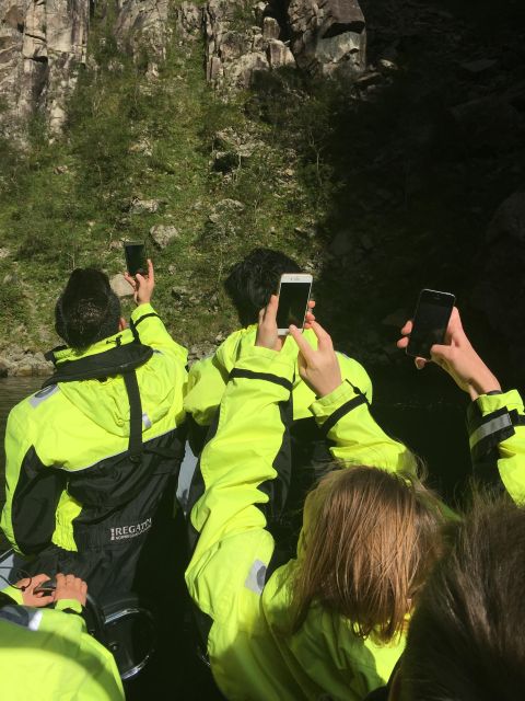 From Stavanger: RIB Tour to Lysefjord - Wildlife, weather, and what you may spot
