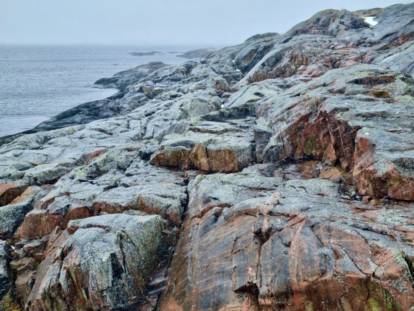 From Stockholm: Archipelago Hike to Landsort Lighthouse - The return walk and ferry back to Stockholm