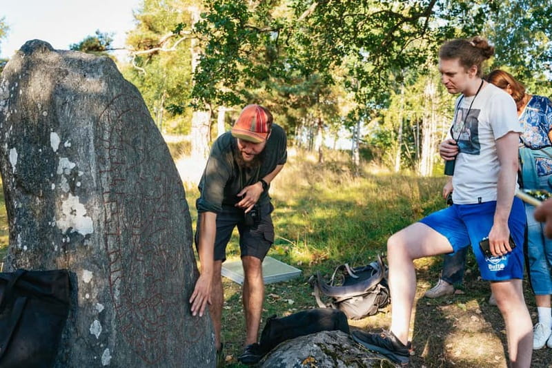 From Stockholm: Moose & Wildlife Safari with Campfire Dinner - A short hike to the campfire viewpoint