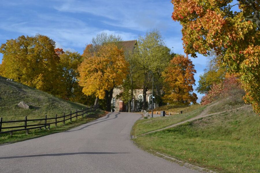 From Stockholm: Uppsala and Sigtuna Viking Sites Tour - Granby Farm and a proper Swedish fika