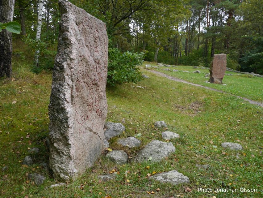 From Stockholm: Viking Culture and Heritage Small Group Tour - Who will enjoy this tour most