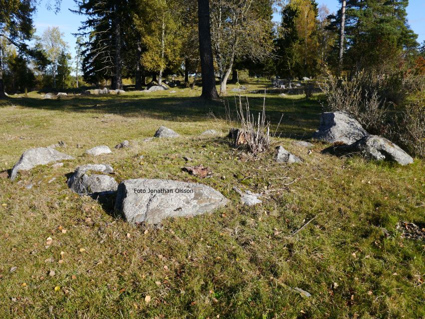 From Stockholm: Viking Culture and Heritage Small Group Tour - What I would prepare before departure