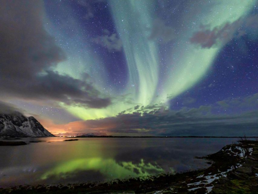 From Svolvær: Guided Northern Lights Tour by Van - What the guide adds beyond driving