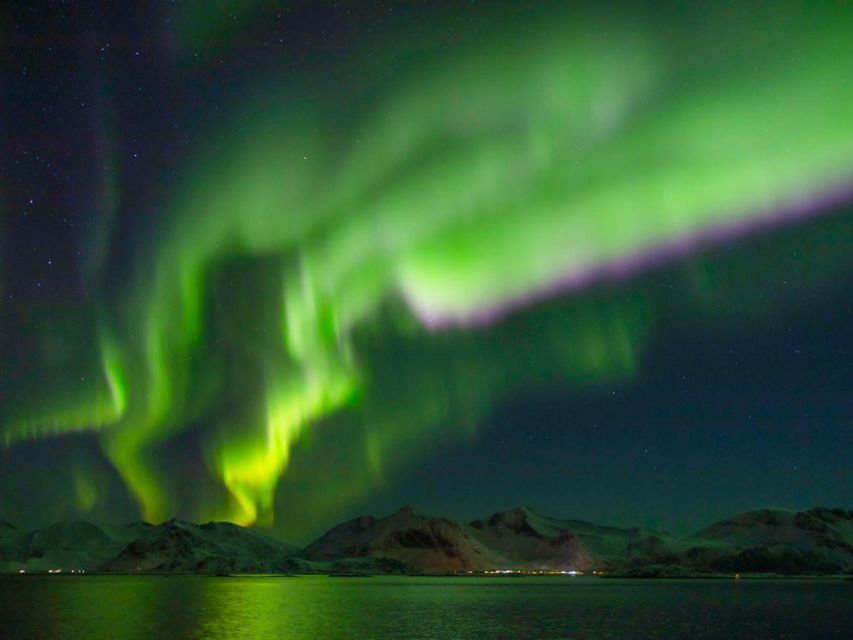 From Svolvær: Guided Northern Lights Tour by Van - Comfort, cost, and group size