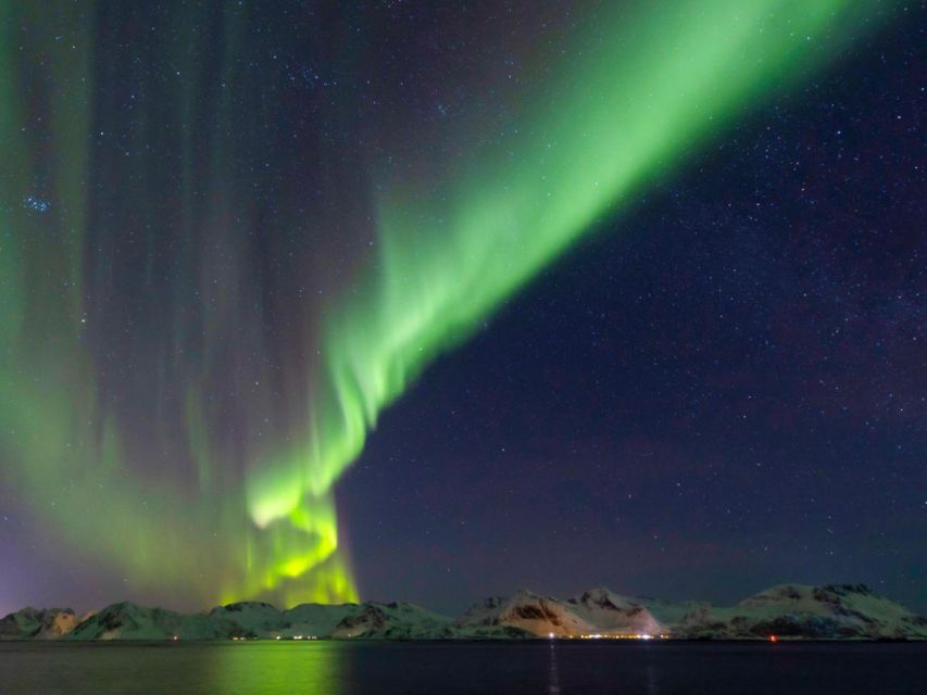 From Svolvær: Guided Northern Lights Tour by Van - The Arctic scenery is part of the outing