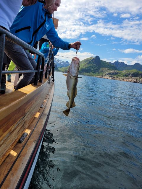 From Svolvaer: Lofoten Fishing Boat Cruise - Key points to know before you go