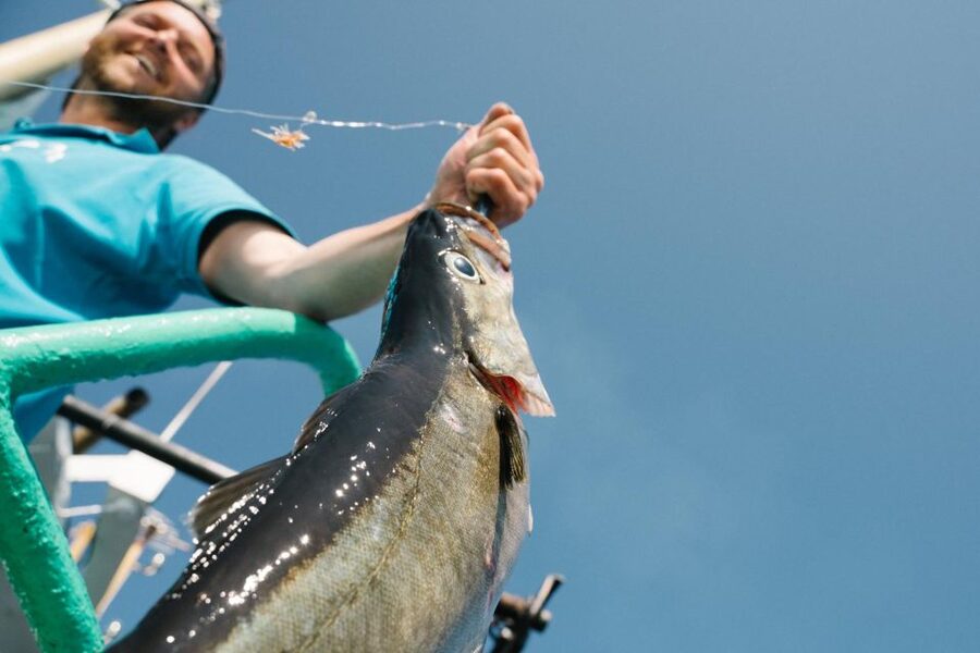 From Svolvaer: Lofoten Fishing Boat Cruise - What happens at the fishing spots