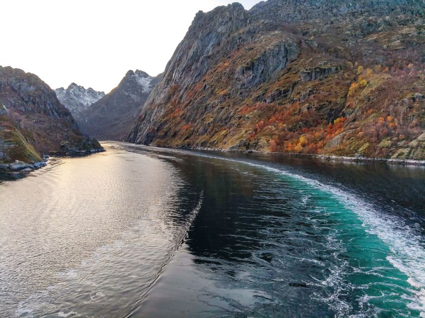 From Svolvær: Lofoten Islands Silent Trollfjord Cruise - Key points to know before you go