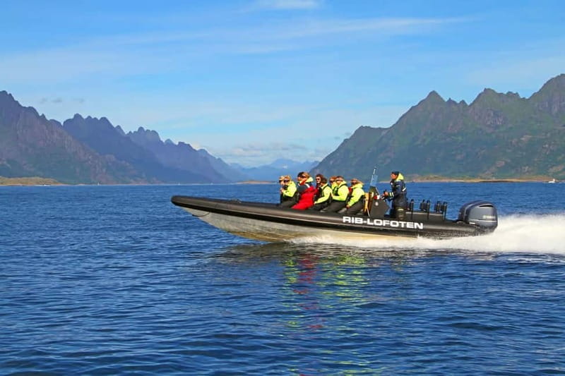 From Svolvær: Lofoten RIB Sea Eagle Safari Trollfjord Cruise - Watching sea eagles near Trollfjord