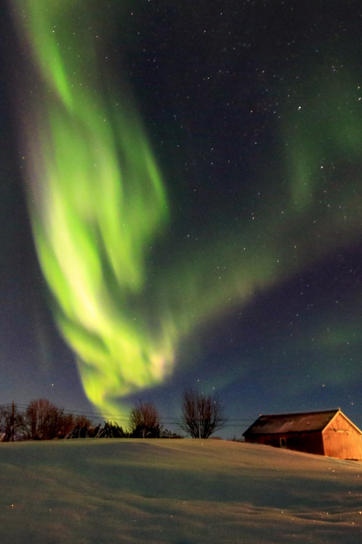 From Svolvaer: Private Northern Lights Search Trip - A Northern Lights hunt, not a fixed viewing stop