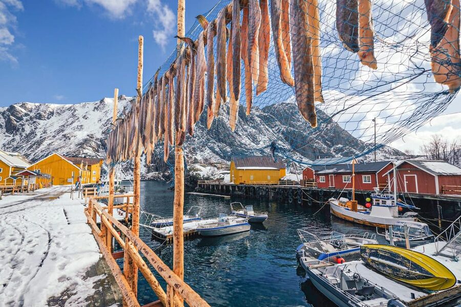 From Svolvær: Reine & Å Lofoten West Island Full Day Tour - Sakrisøya’s yellow cabins and fishing life
