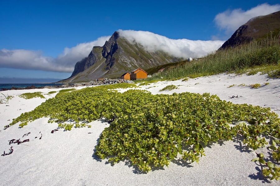 From Svolvær: Reine & Å Lofoten West Island Full Day Tour - Who will enjoy this route most