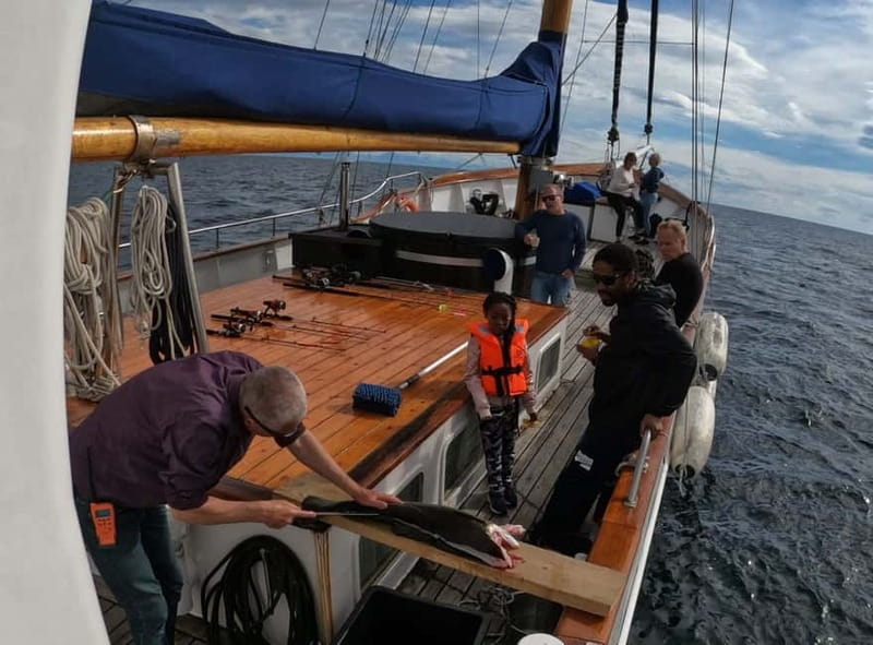 From Svolvær: Taste of Lofoten - Cultural Fishing Experience - Why fishing is the right way to meet Lofoten