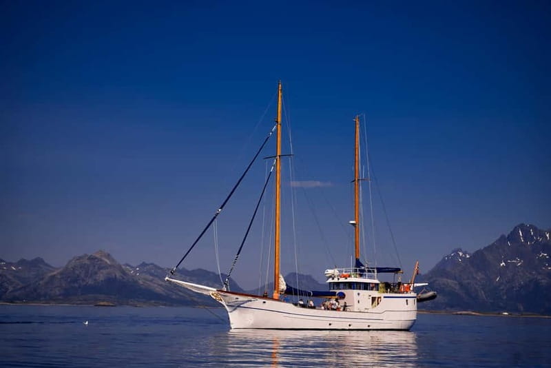 From Svolvær: Taste of Lofoten - Cultural Fishing Experience - Fishing for cod, pollock, mackerel, or haddock