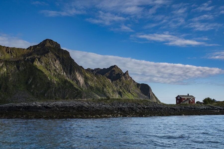 From Svolvaer: Trollfjorden Wildlife RIB Cruise - Watching white-tailed eagles from the RIB