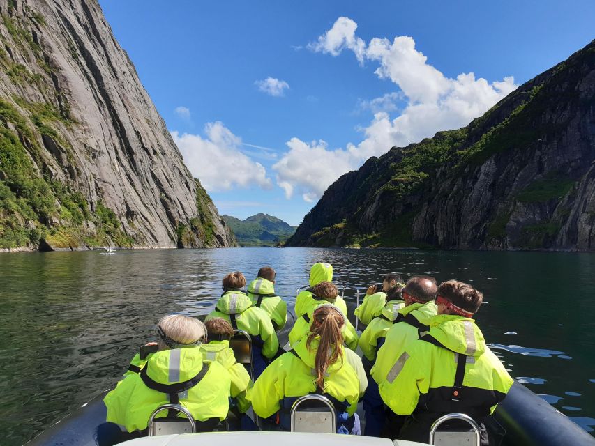From Svolvaer: Trollfjorden Wildlife RIB Cruise - White beaches, old sites, and Skrova harbor