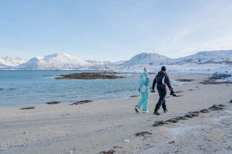 From Tromsø: Arctic Roadtrip: fjords tour with scenic picnic - A route that changes with the Arctic weather