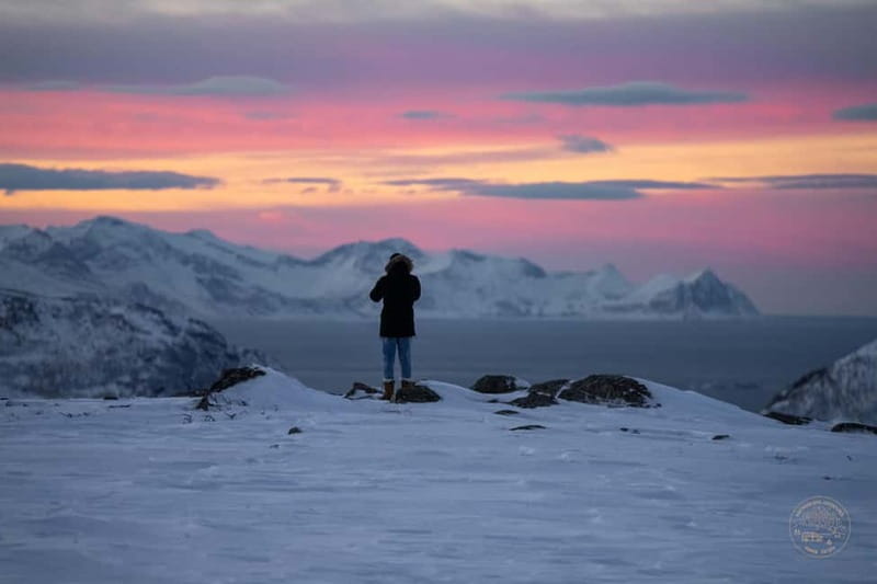 From Tromsø: Arctic Roadtrip: fjords tour with scenic picnic - Food, warmth, and comfort in a minibus