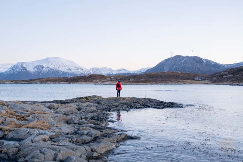 From Tromsø: Arctic Roadtrip: fjords tour with scenic picnic - How the timing works for summer and cruise passengers