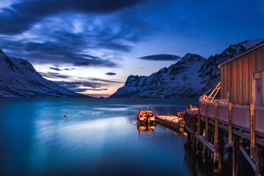 From Tromsø: Arctic Wildlife & Fjord Sightseeing Tour by Car - From The Edge to Kvaløysletta