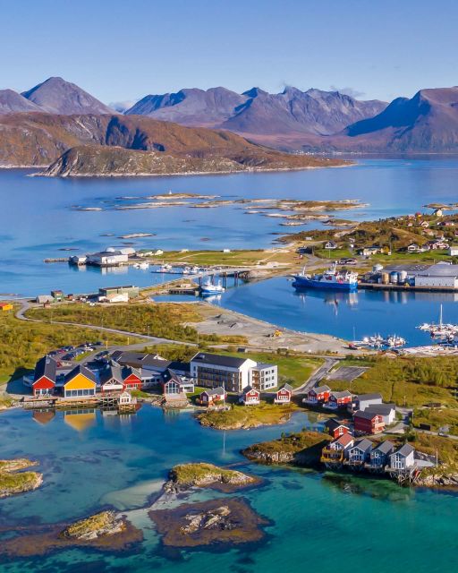 From Tromsø: Arctic Wildlife & Fjord Sightseeing Tour by Car - Is $220 a fair price?