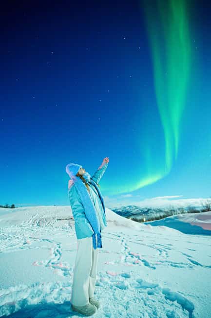 From Tromsø: Aurora Borealis Tour - Inside the 19-seat coach