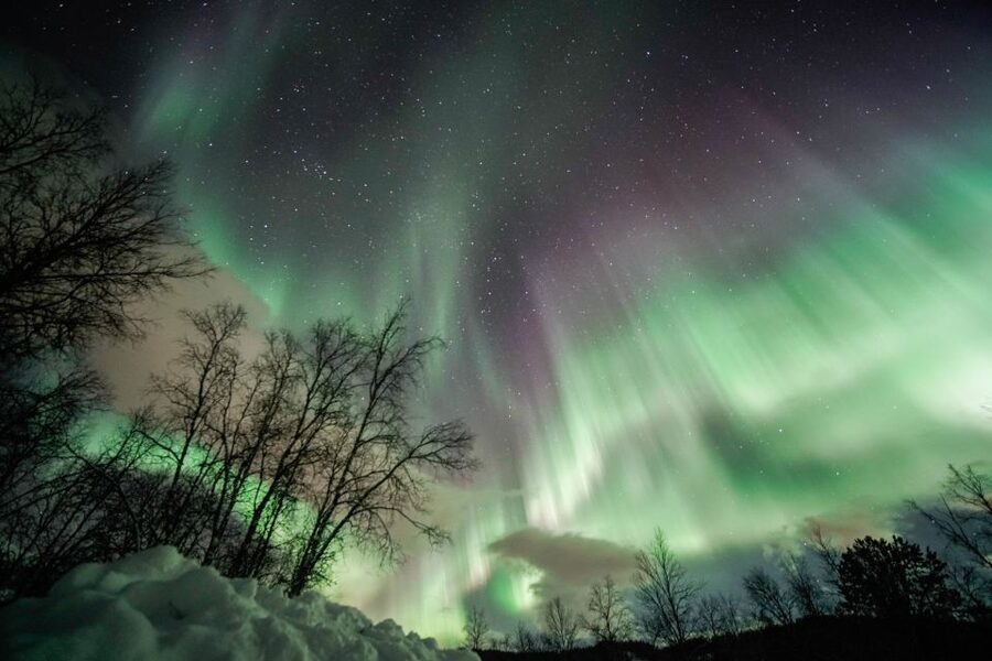 From Tromsø: Aurora Borealis Tour - What the guides add to the experience