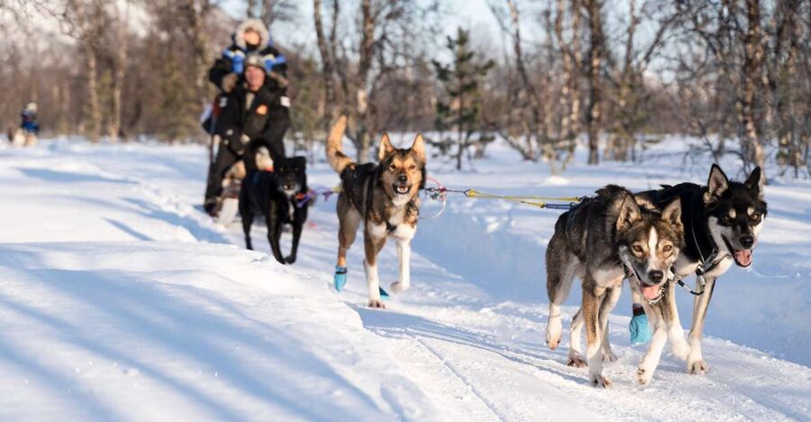 From Tromsø: Fun and Easy Dog Sledding Adventure - Getting ready in thermal gear