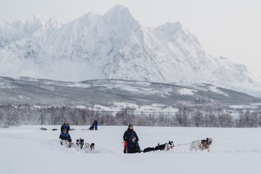 From Tromsø: Fun and Easy Dog Sledding Adventure - Open snowfields, forest trails, and the Lyngen Alps
