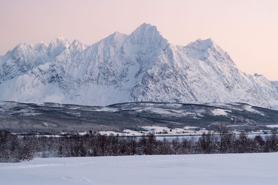 From Tromsø: Fun and Easy Dog Sledding Adventure - Meeting the huskies after the ride