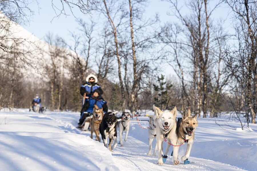 From Tromsø: Fun and Easy Dog Sledding Adventure - Warming up in the Sami lavvu