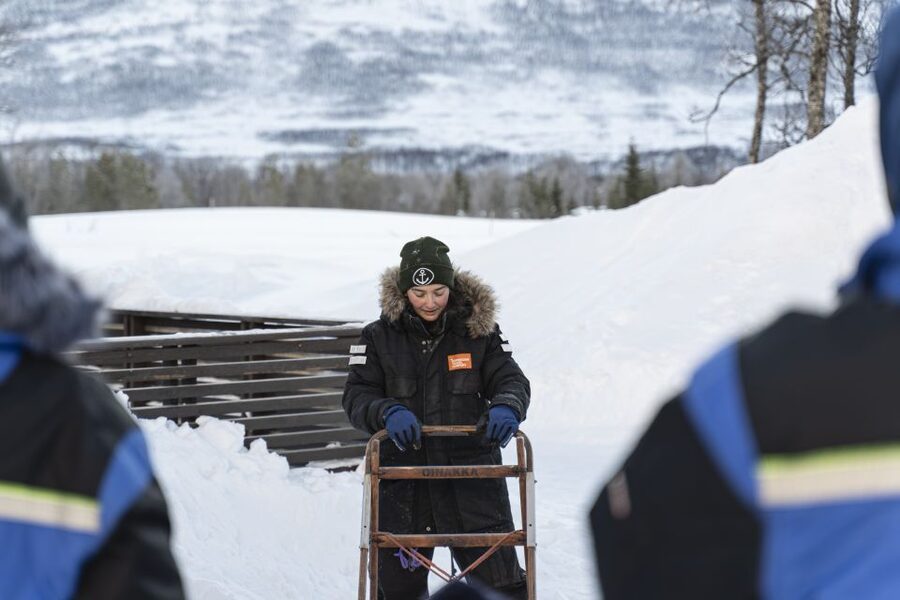From Tromsø: Fun and Easy Dog Sledding Adventure - From Tromsø Havn to the Breivikeidet valley