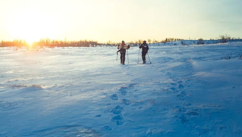 From Tromsø: Guided Husky Snowshoe Hike and Husky Camp Visit - Meeting a pack of 200 huskies