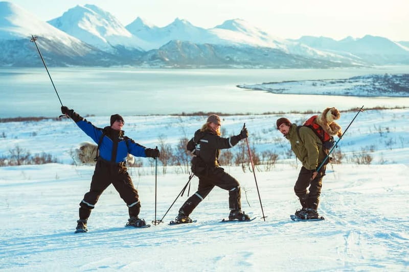 From Tromsø: Guided Husky Snowshoe Hike and Husky Camp Visit - How difficult is the snowshoe walk?