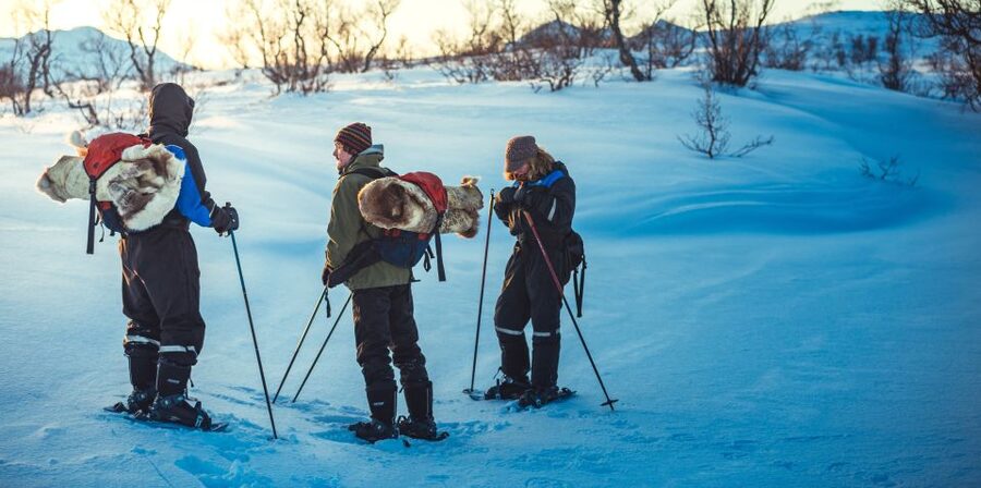 From Tromsø: Guided Husky Snowshoe Hike and Husky Camp Visit - Who should book this husky hike?