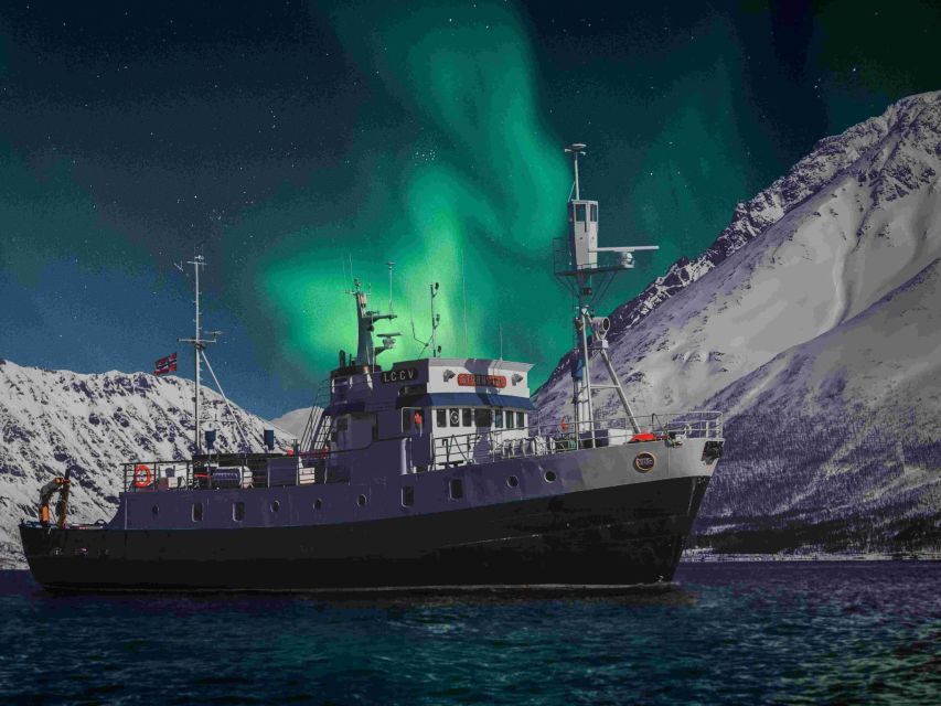 From Tromsø: Northern Lights Cruise on a Cozy Vintage Vessel - Four hours on the fjord, with the sky as the main event
