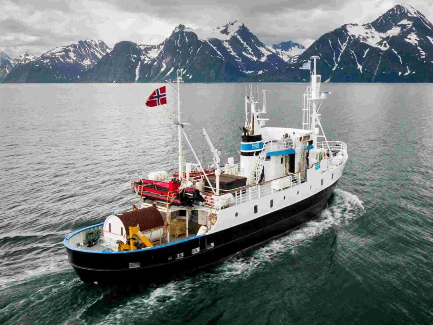 From Tromsø: Northern Lights Cruise on a Cozy Vintage Vessel - Boarding MS Strønstad for a slower Arctic night
