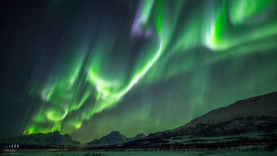 From Tromsø: Northern Lights Tour - The bonfire meal in Troms County
