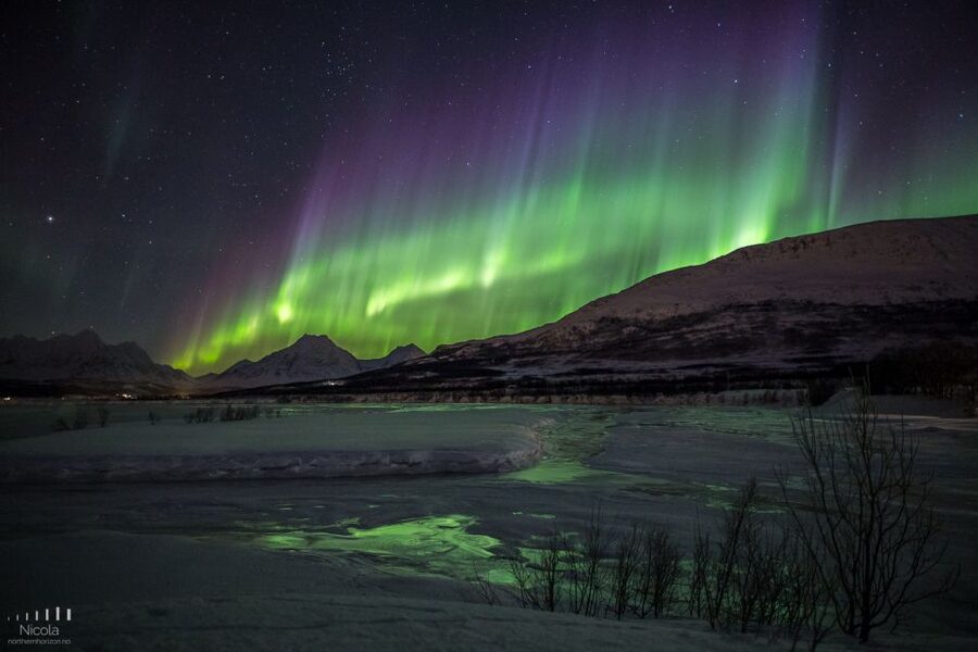 From Tromsø: Northern Lights Tour - Who will enjoy this night most