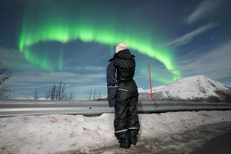 From Tromsø: Northern Lights Tour in Minibus with Photos - Staying warm on a Norwegian winter night