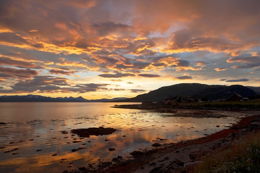 From Tromso: Norwegian Fjords Half-Day Tour - Why Kvaløya makes a strong half-day outing