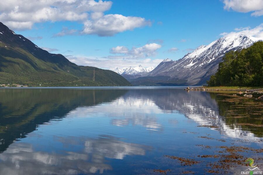 From Tromso: Norwegian Fjords Half-Day Tour - The first stops: fjords, mountains, and village views