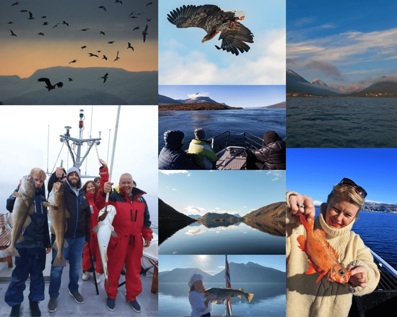 From Tromso: Polar Fishing Adventure - What this Tromsø fishing trip is really like