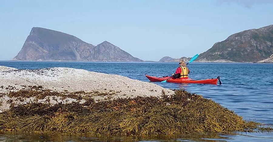 From Tromsø: Sea Kayaking Tour at Sommarøy with Transfer - The first 45 to 60 minutes on the water