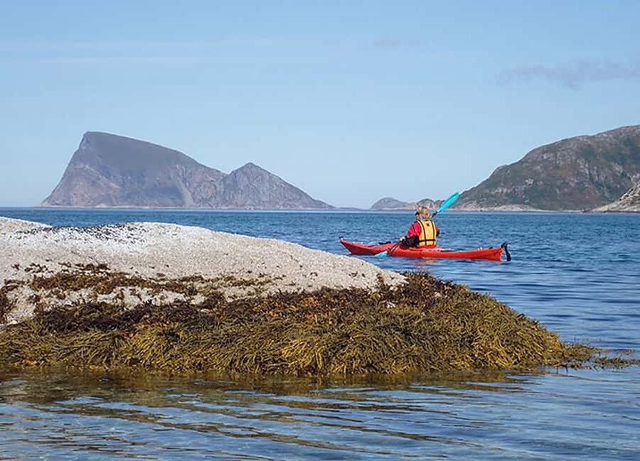 From Tromsø: Sea Kayaking Tour at Sommarøy with Transfer - Is $157 a fair price?